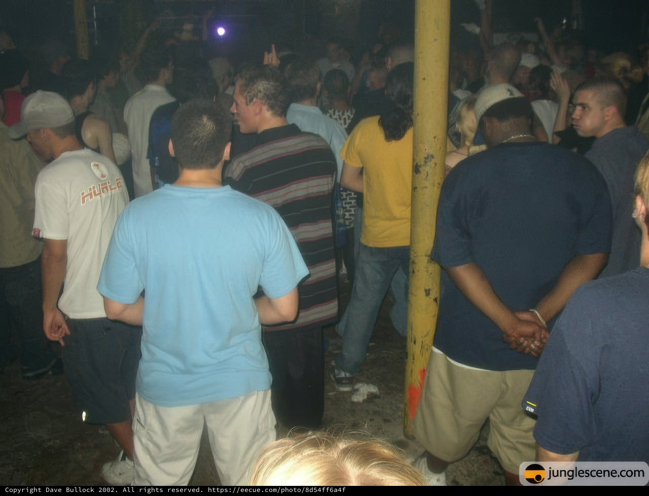 Nightclub Crowd at Party