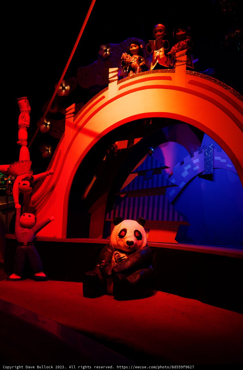 Magical Moments at Disneyland
