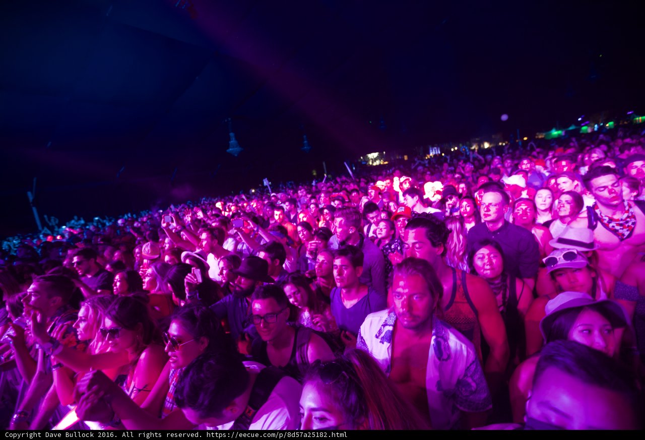 Purple Haze at Coachella