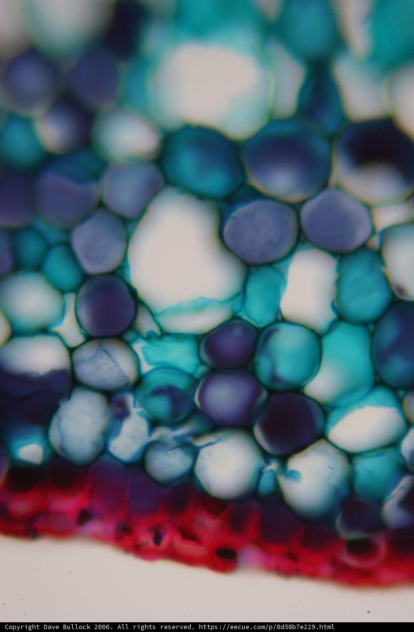 Colors of the Sphere
