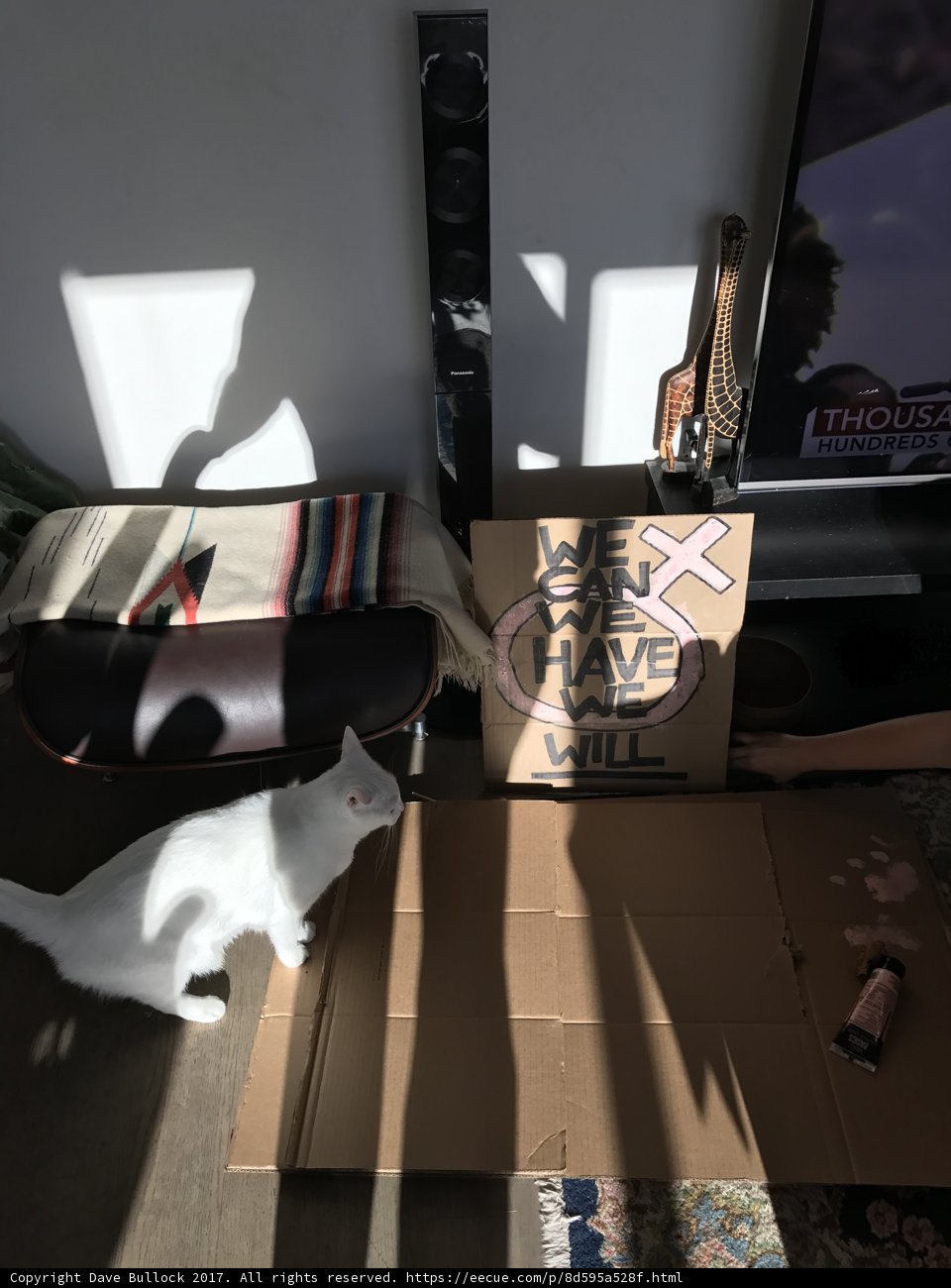 Purrfect Entertainment