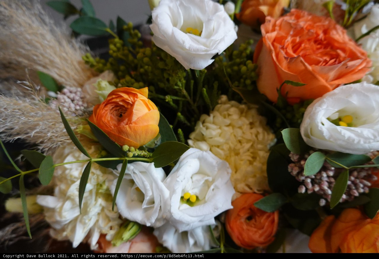 White and Orange Floral Beauty