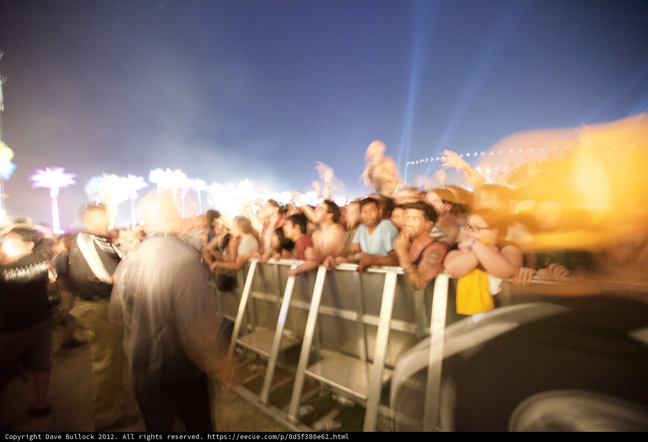 Festival Fun Under the Stars