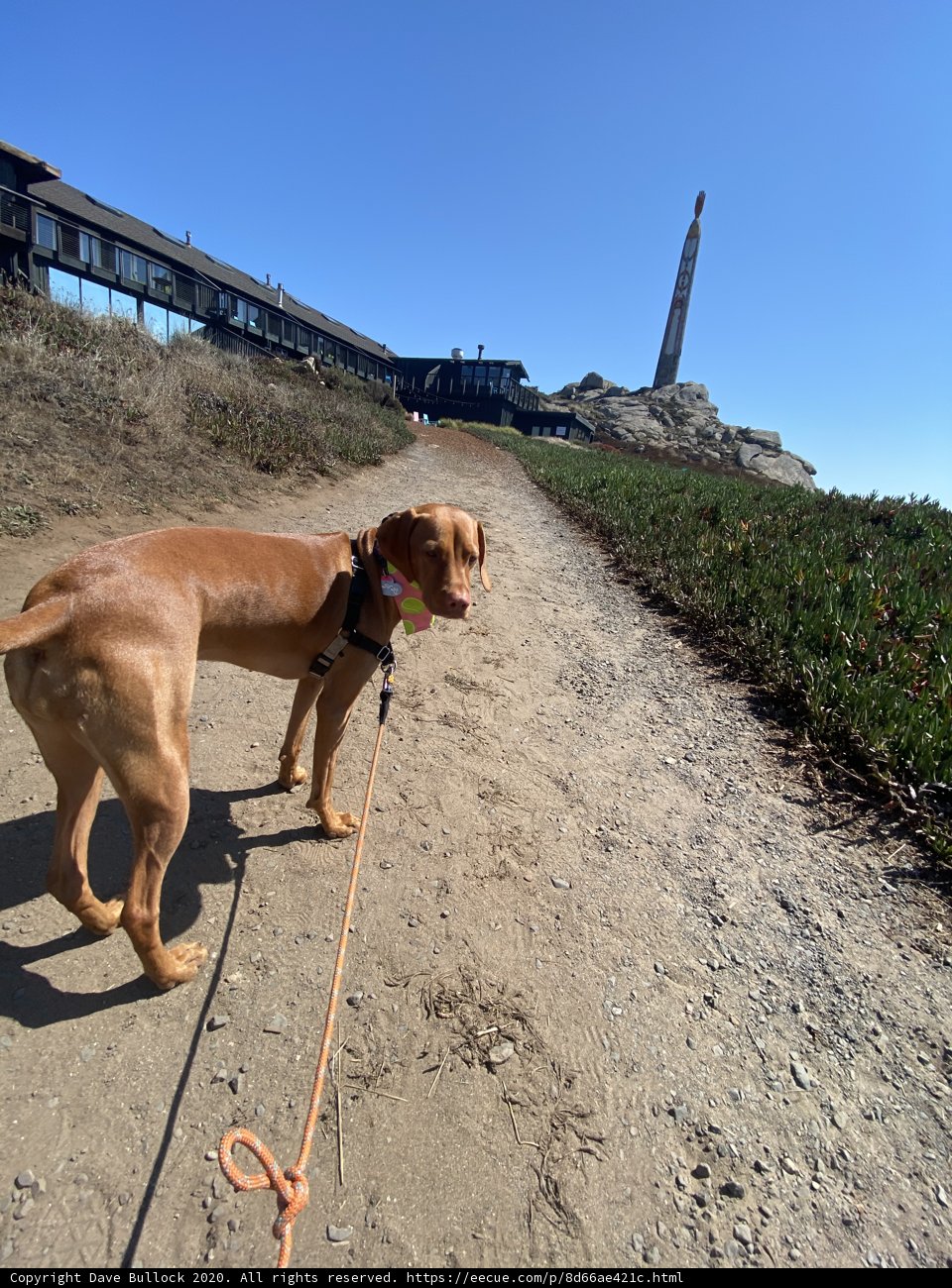 Walking Along the Path