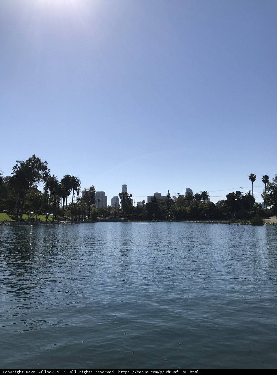 Urban Oasis