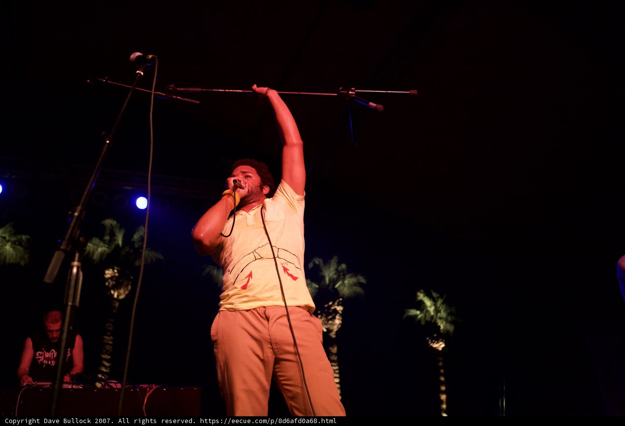 Solo Performance under the Palm Trees
