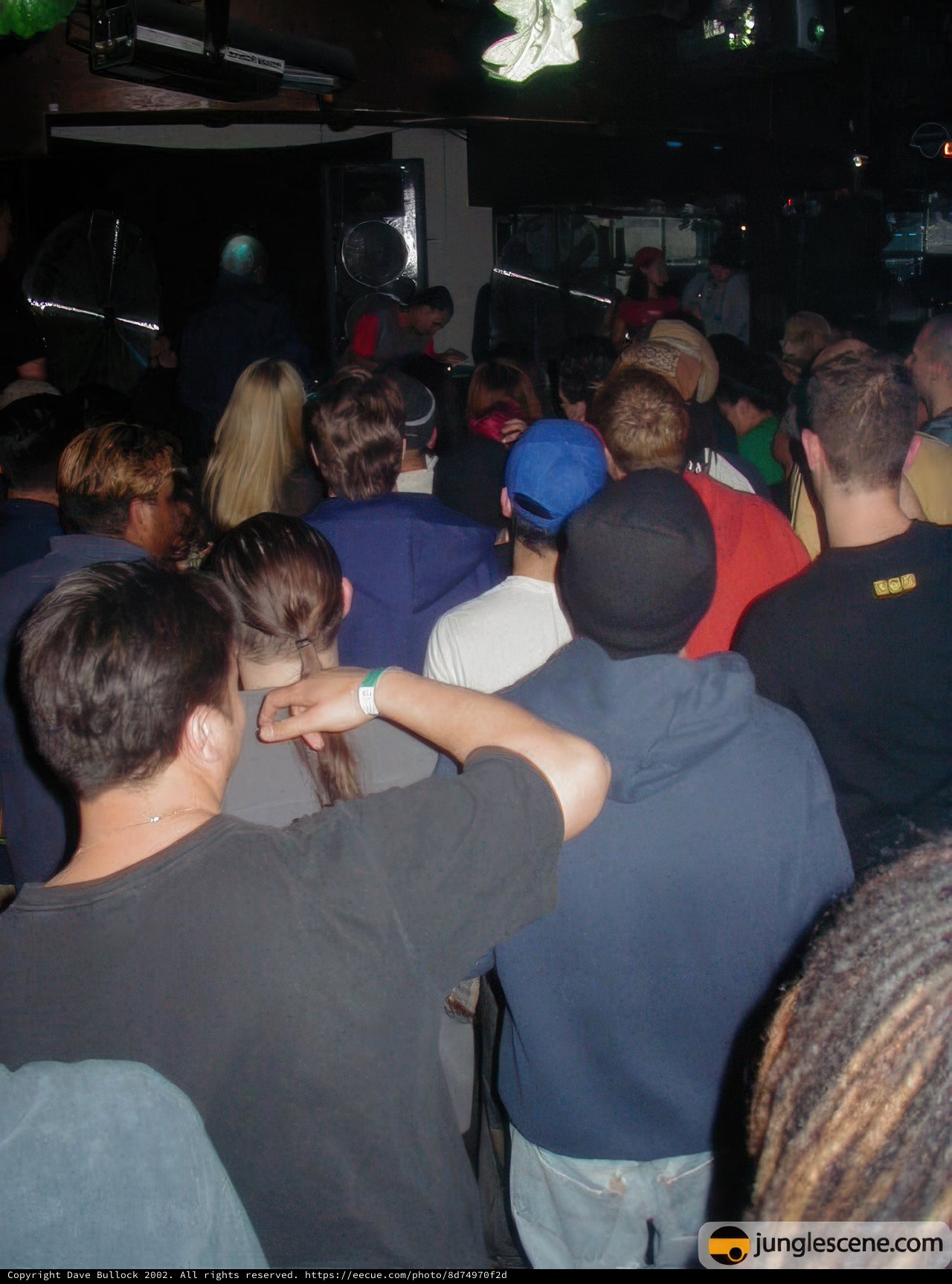 Party-goers fill the club