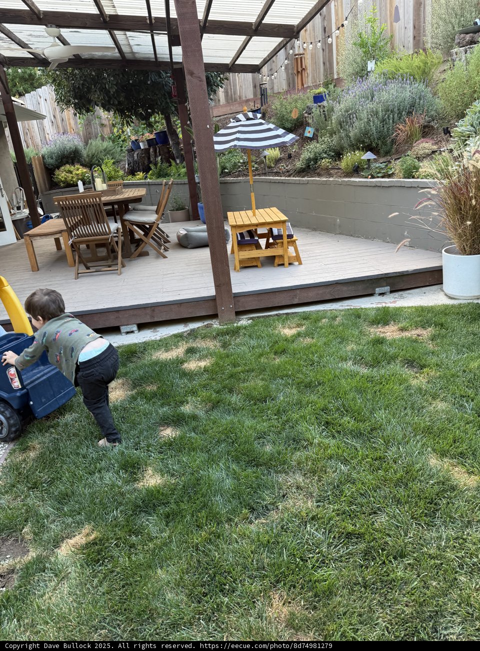 Afternoon Adventures in the Backyard