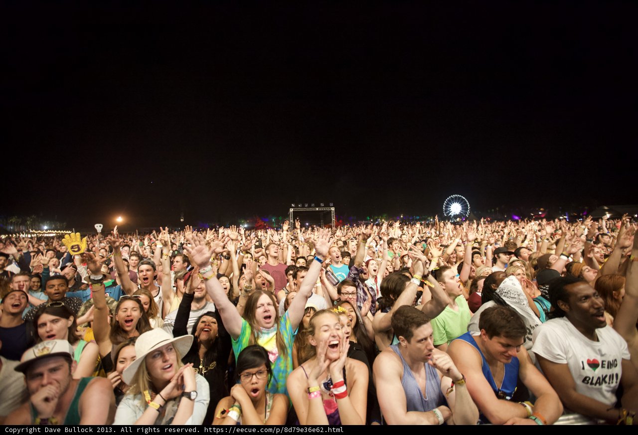 Festival Fever
