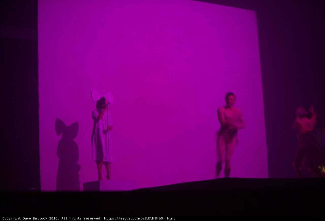 Purple Haze Performance