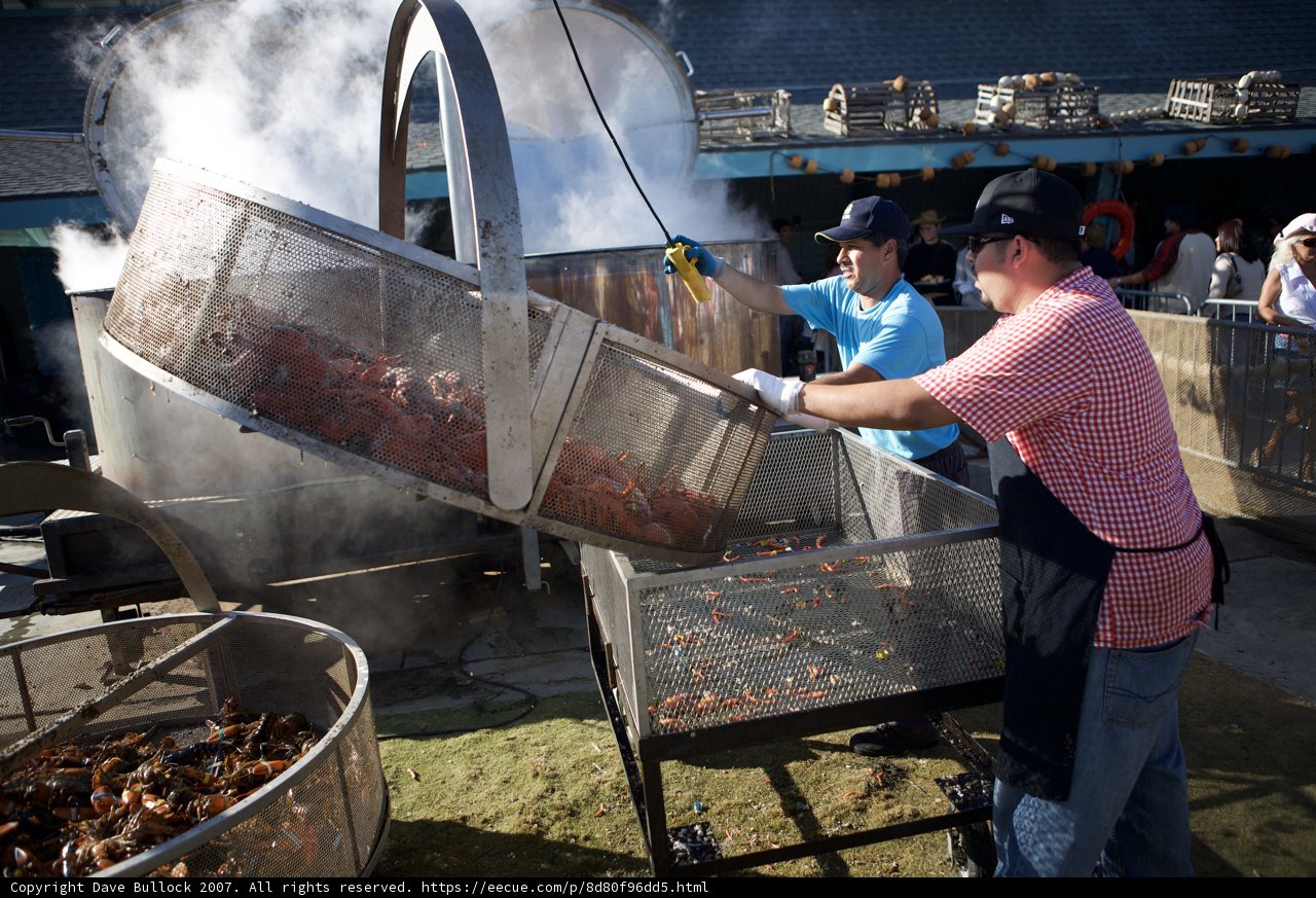 BBQ Master at the Lobster Festival