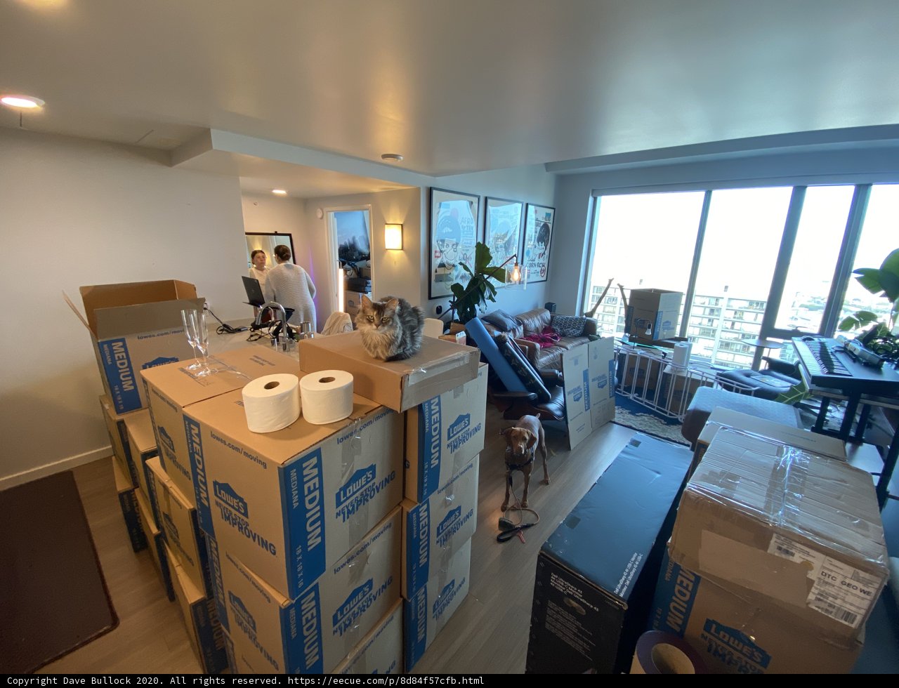 Moving Day Chaos