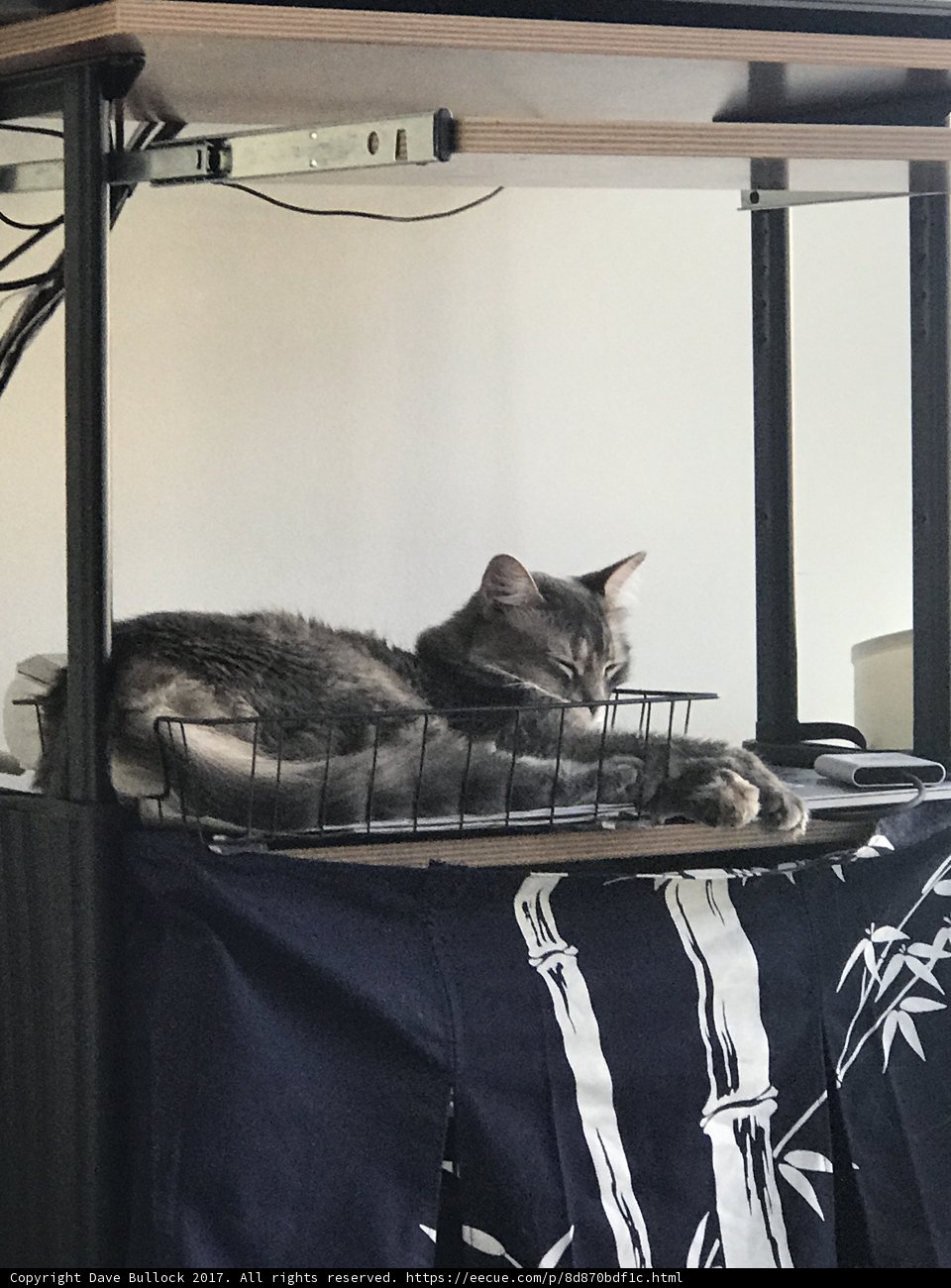 Comfy Co-Worker