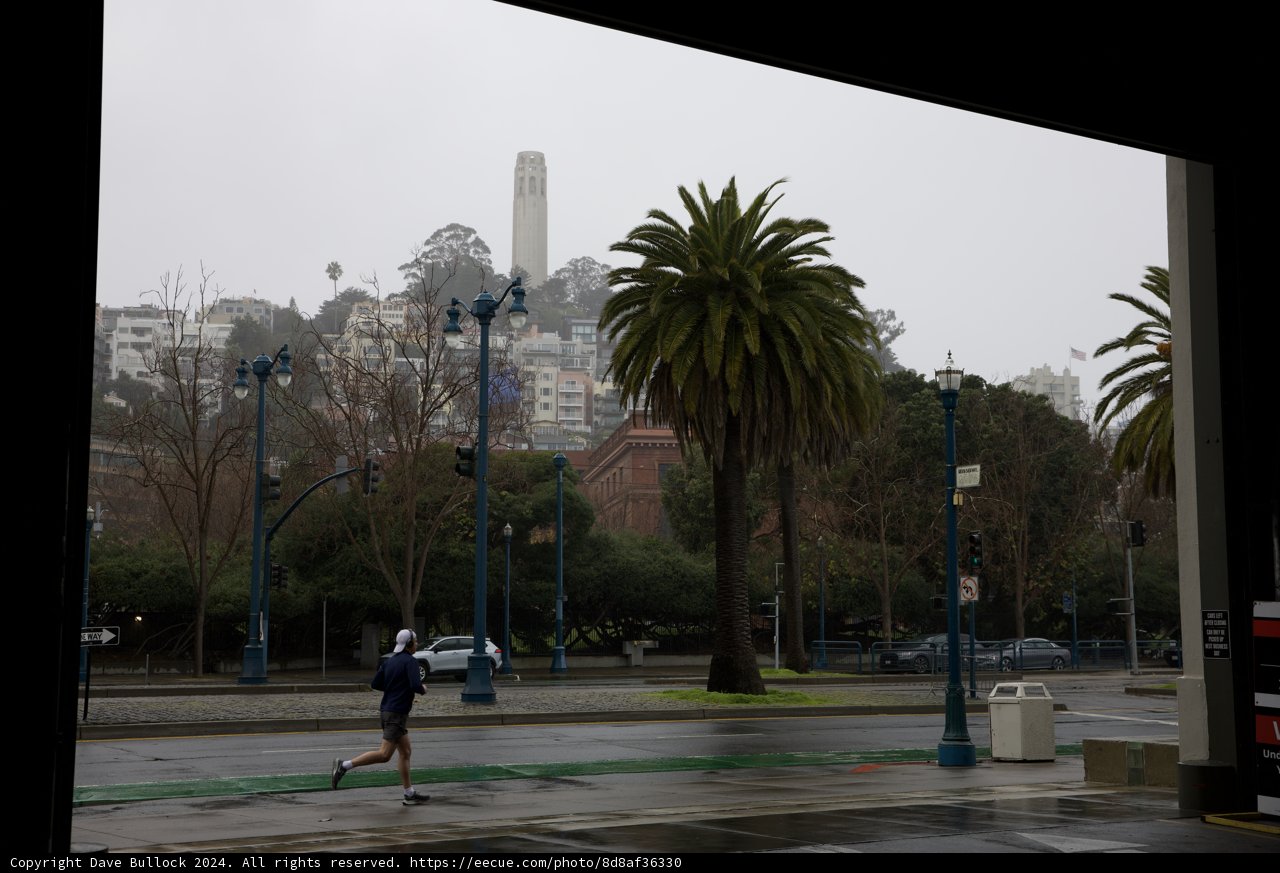Urban Marathon