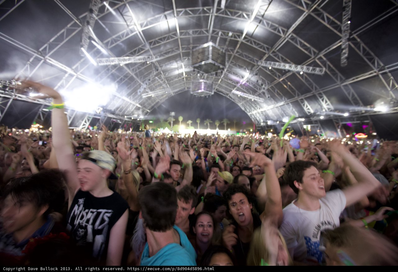 Coachella Concert Excitement