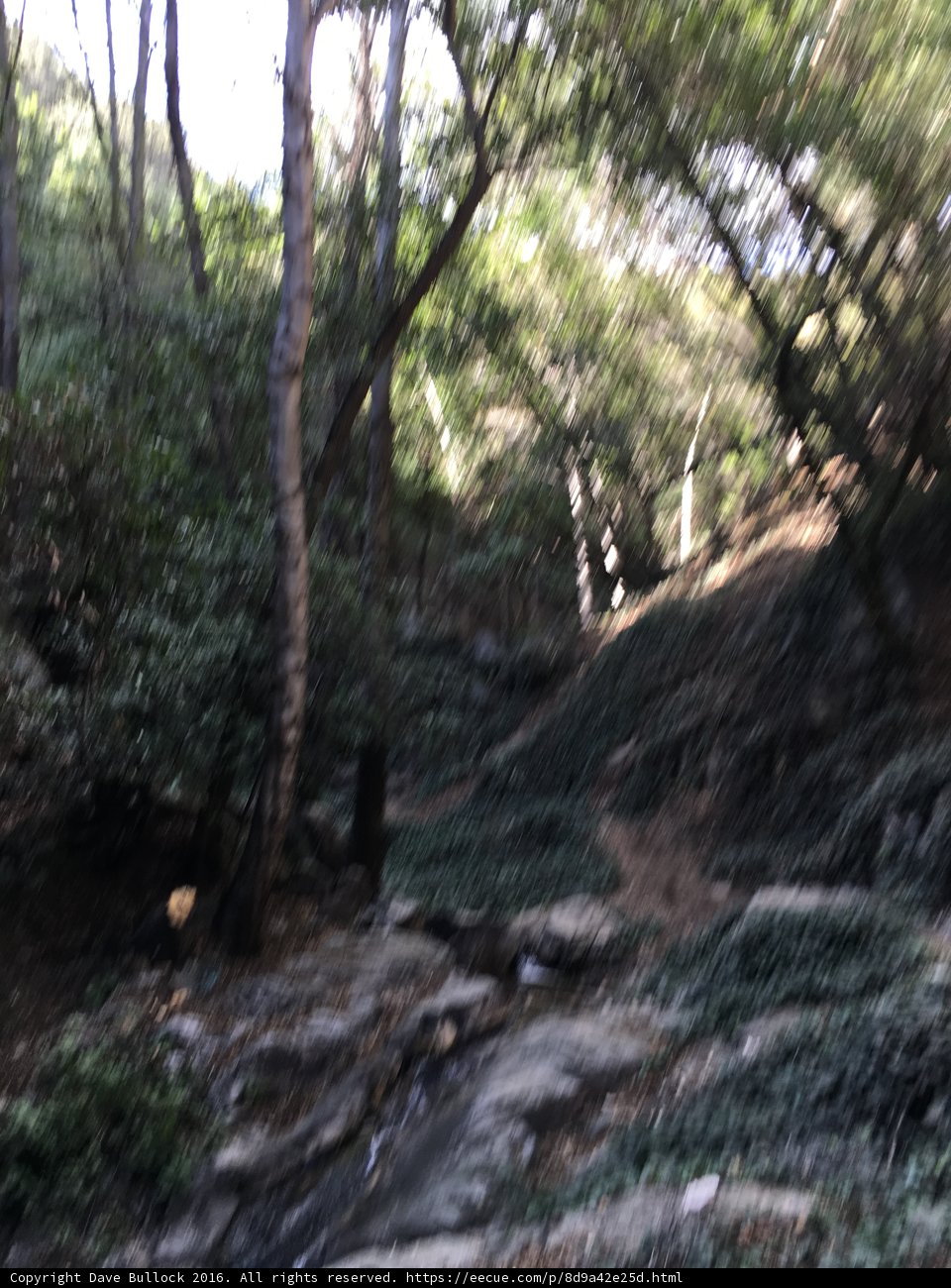 Flowing through the Wilderness