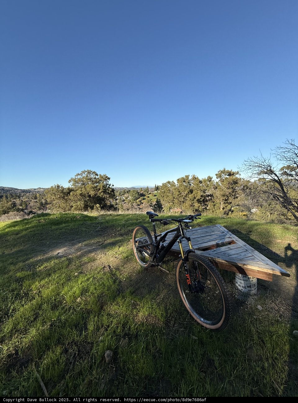 Rolling Through Walnut Creek