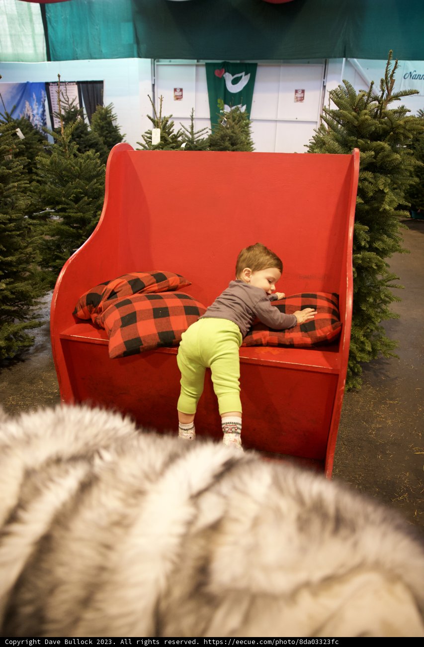 A Perfect Blend of Indoor Comfort and Outdoor Adventure