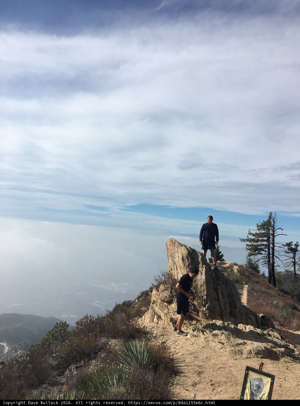 Summit View
