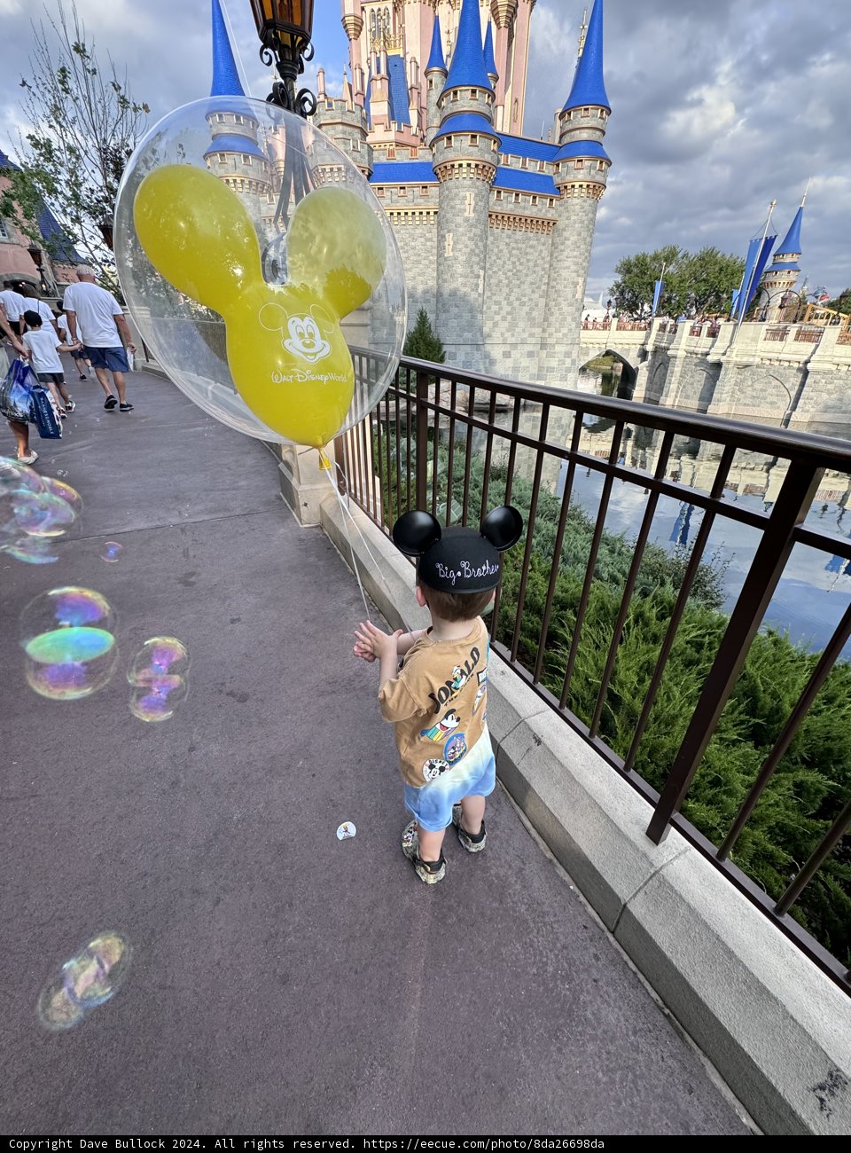 Dreams Take Flight at Magic Kingdom
