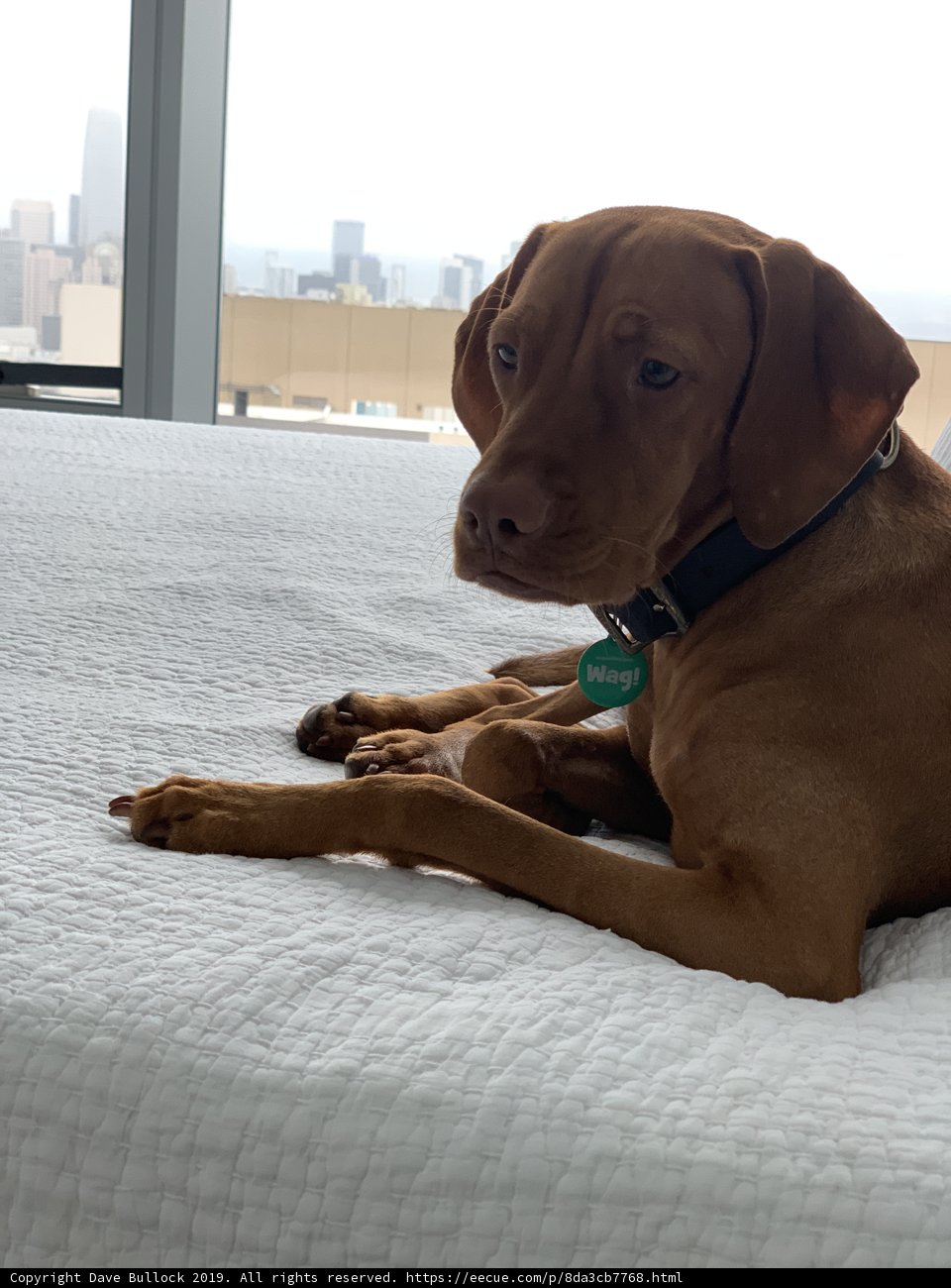 Resting with a View