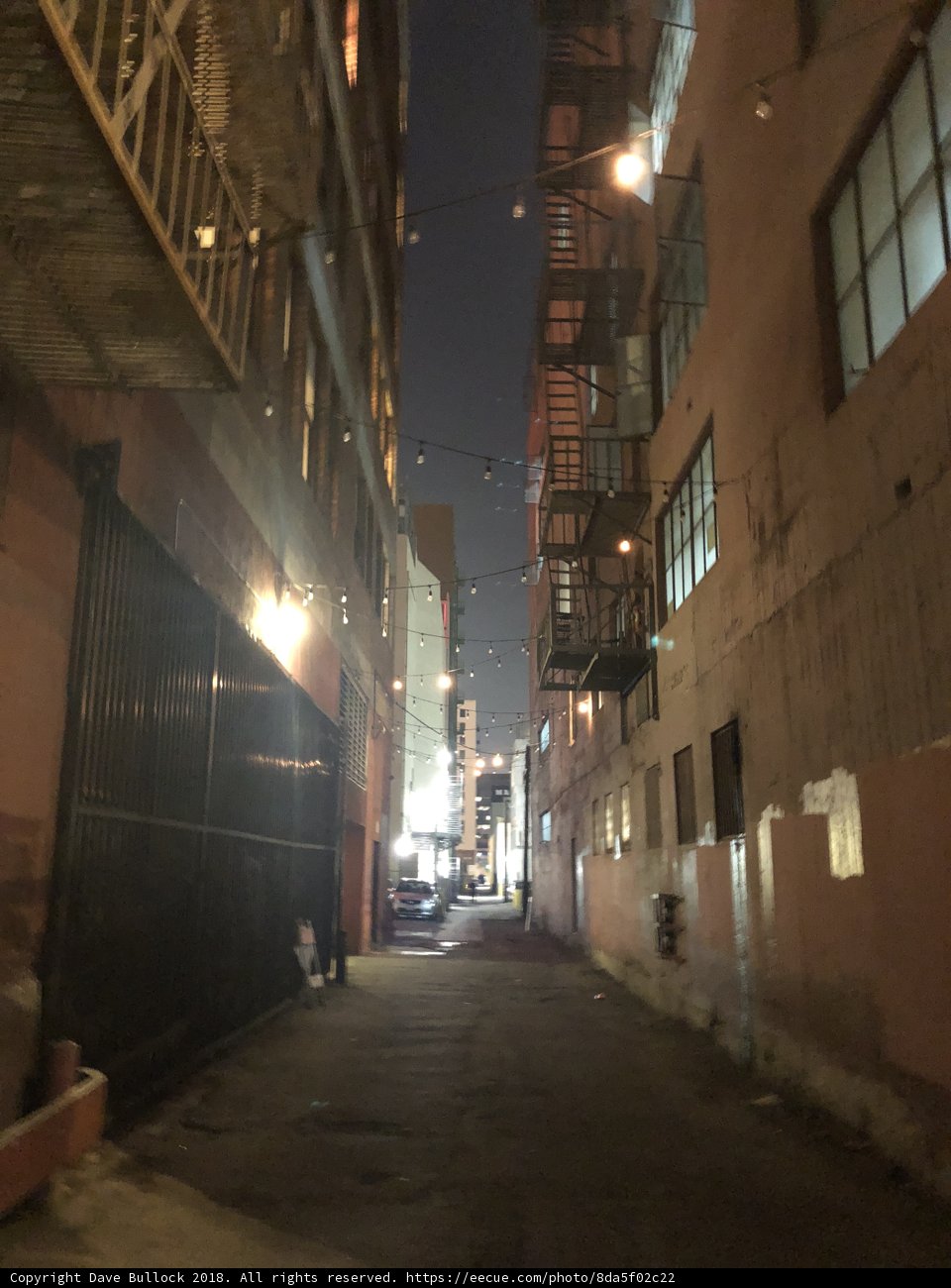 Nighttime Stroll