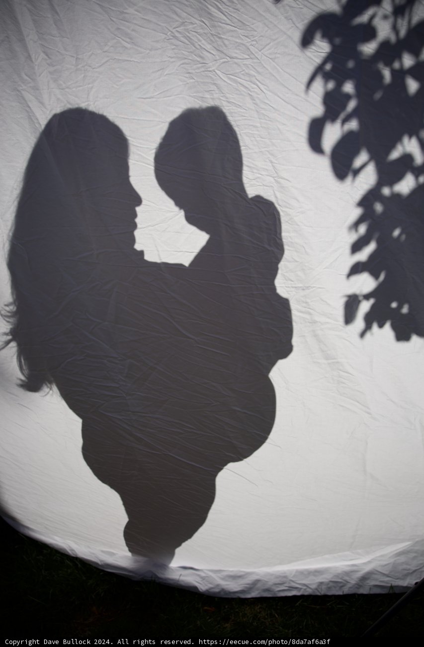 Shadow of New Beginnings