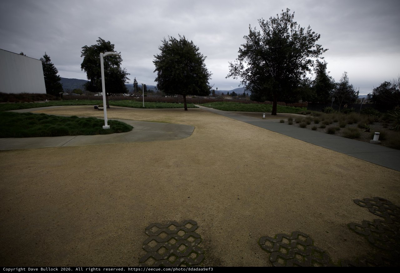 Curved Pathway Through Park on Overcast Evening