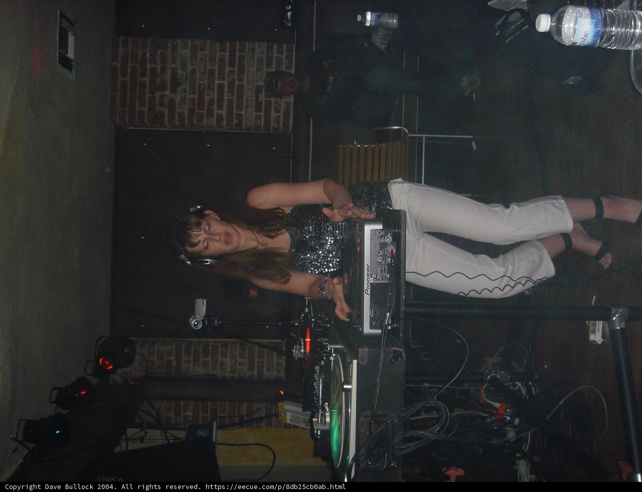 DJ Lady Rocks the Nightclub