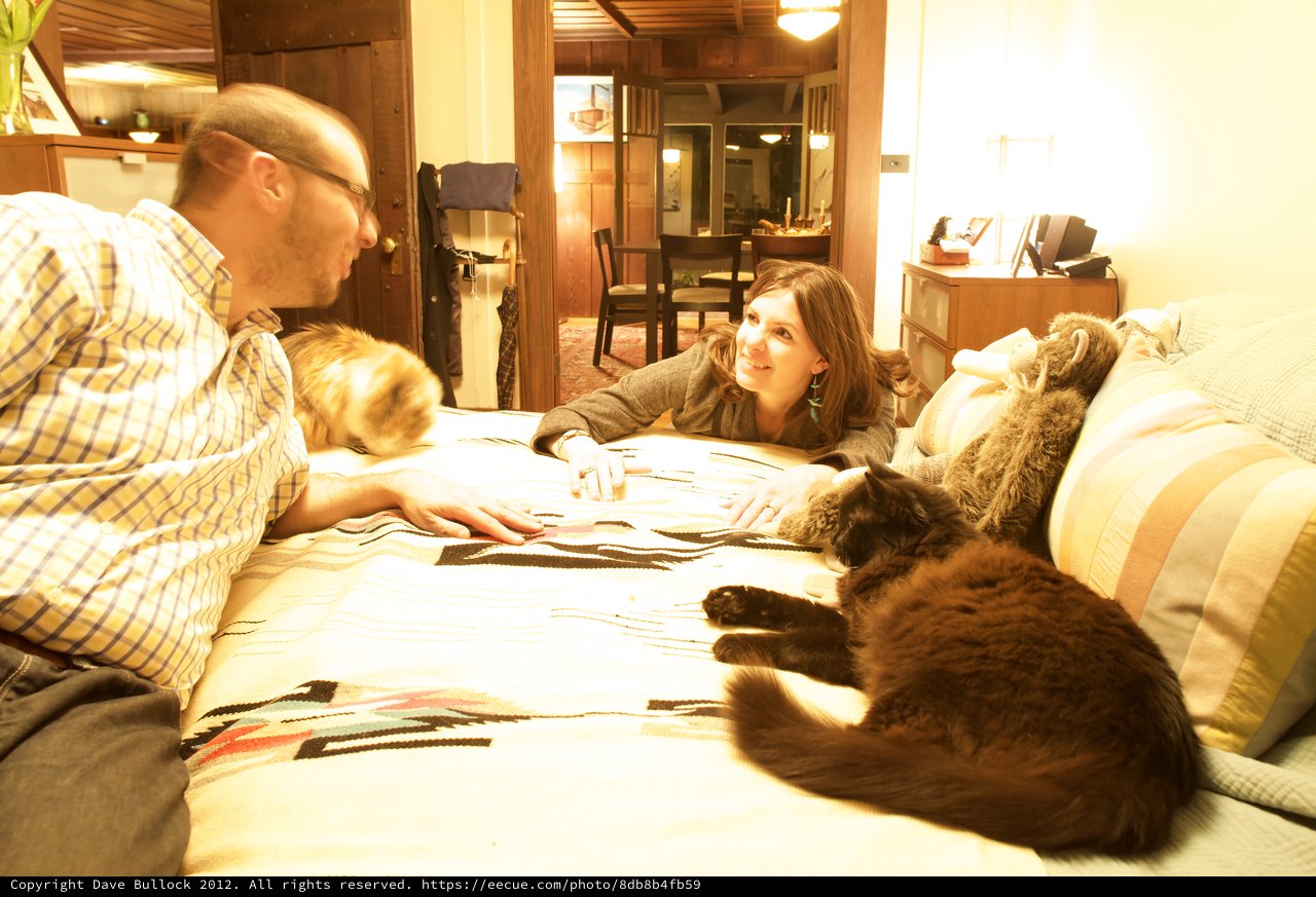 Couple Relaxing on Bed with Their Cats