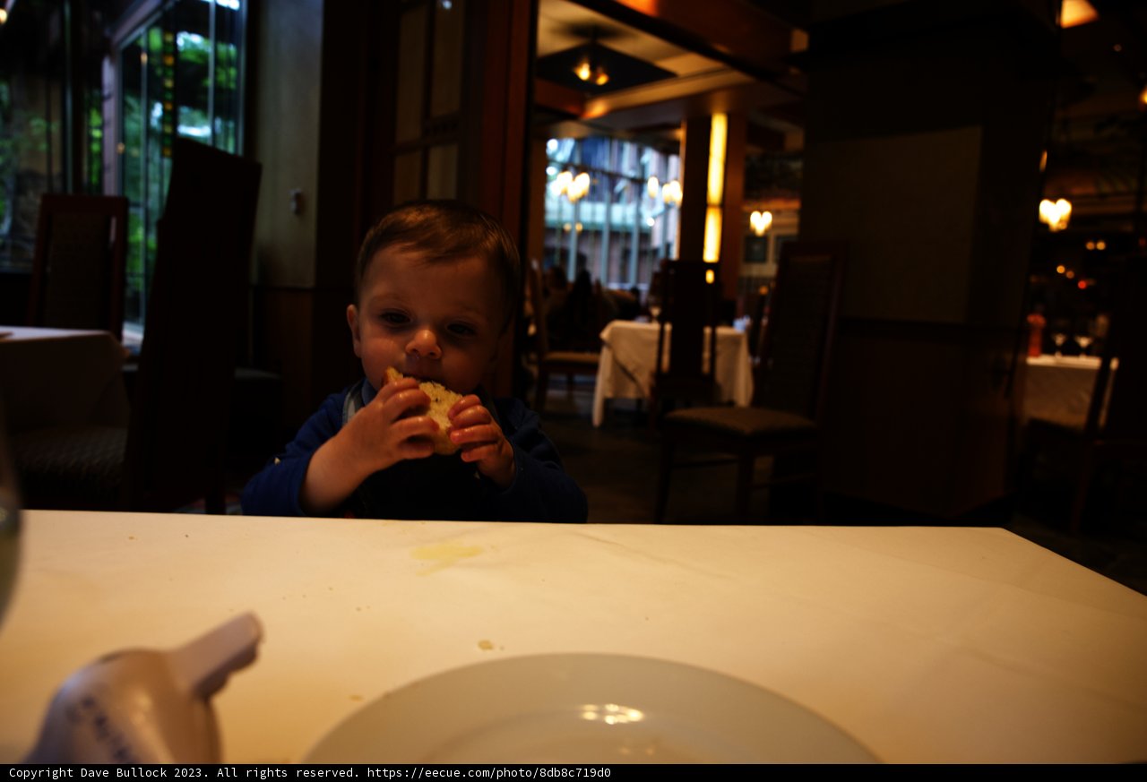 Lunchtime Delight at Disneyland