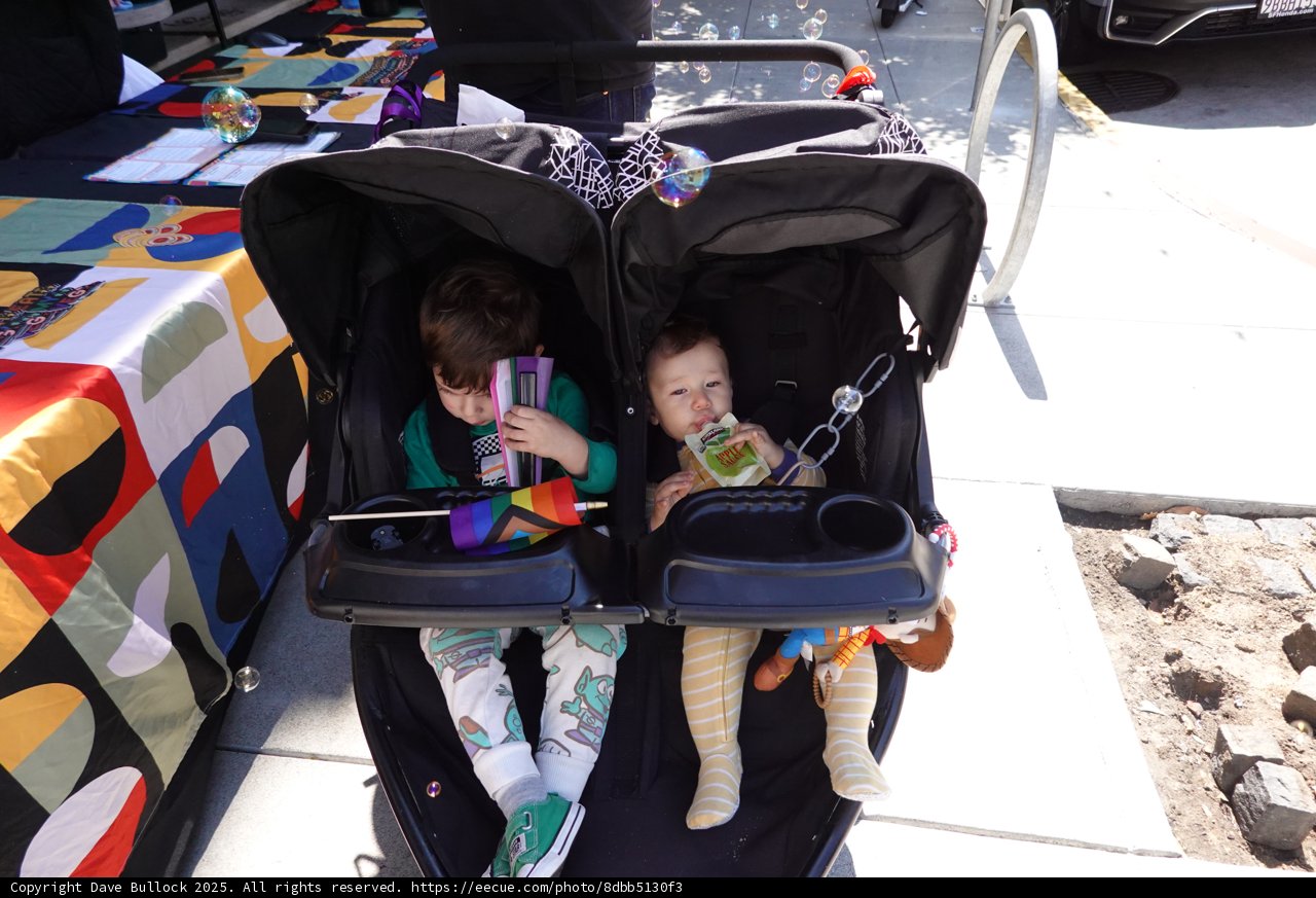 Adventures in Double Strollers