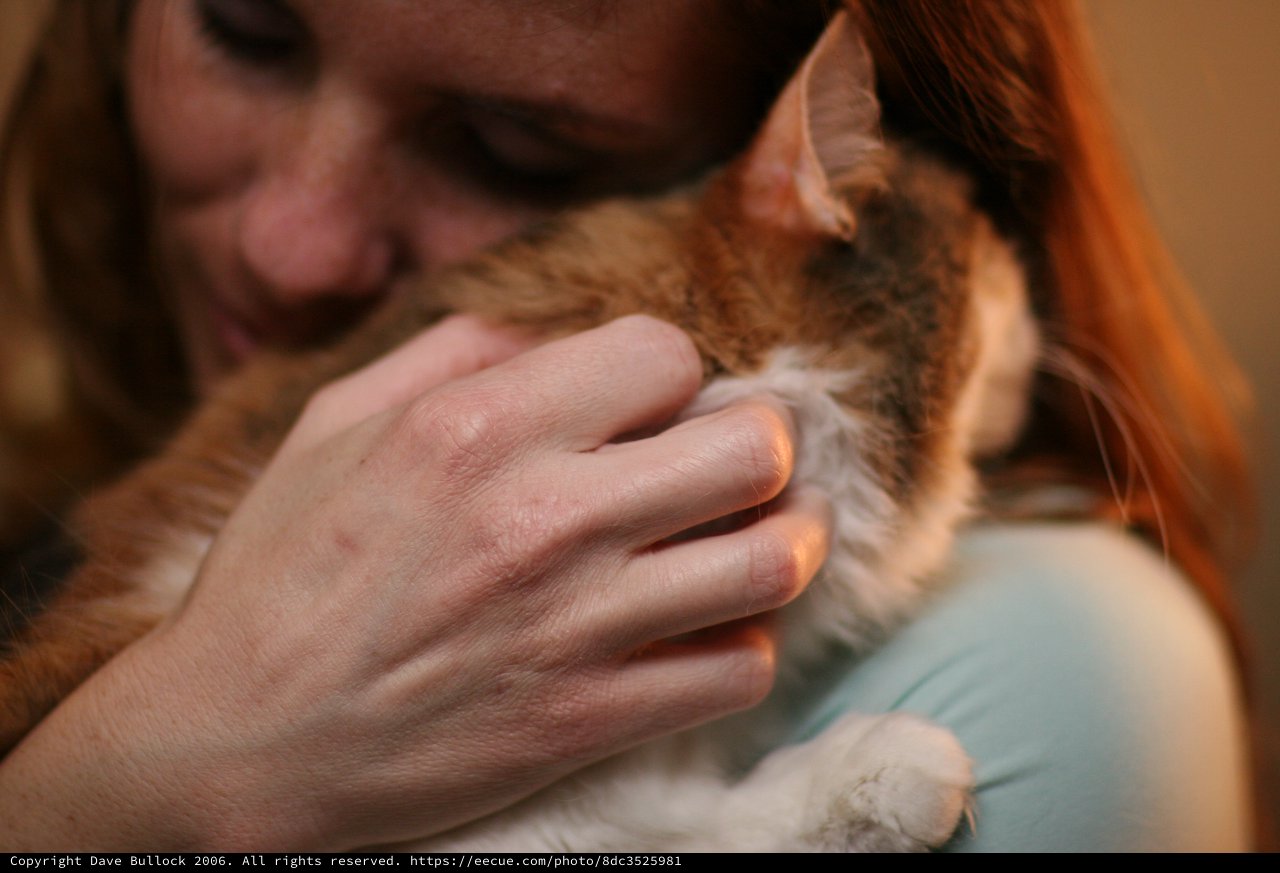 Tender Moment: Woman Nuzzles Beloved Orange Tabby Cat