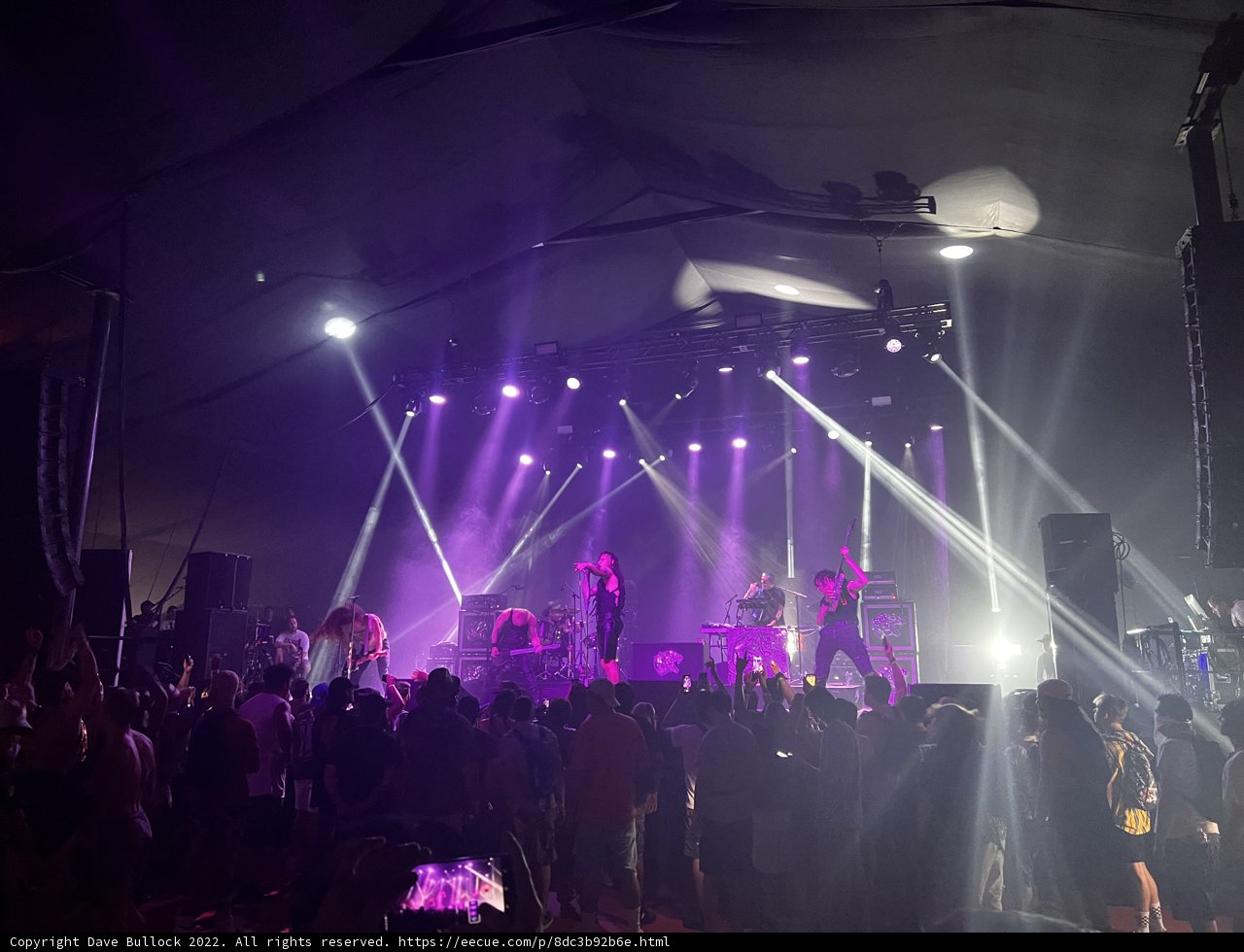Rocking the Night Away