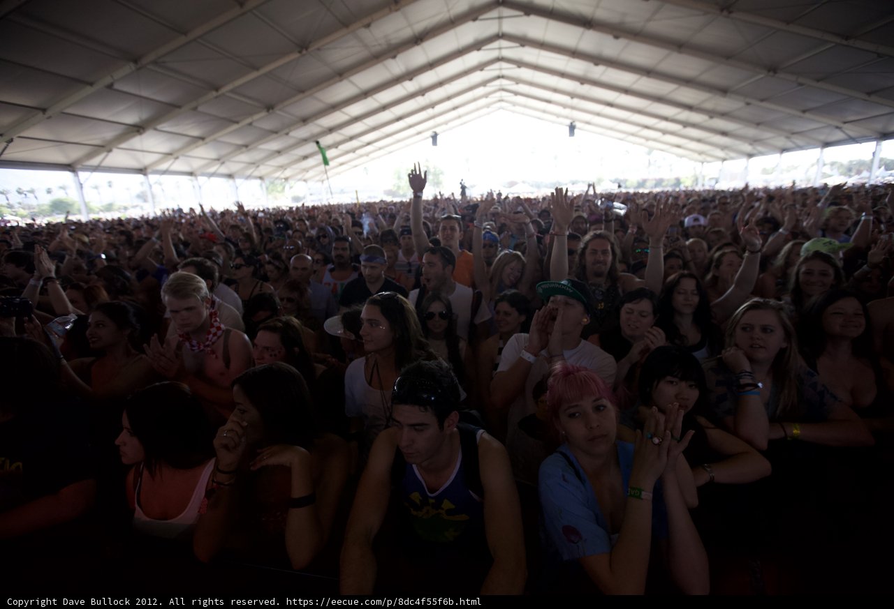 Coachella 2012's Epic Crowd Captures the Moment
