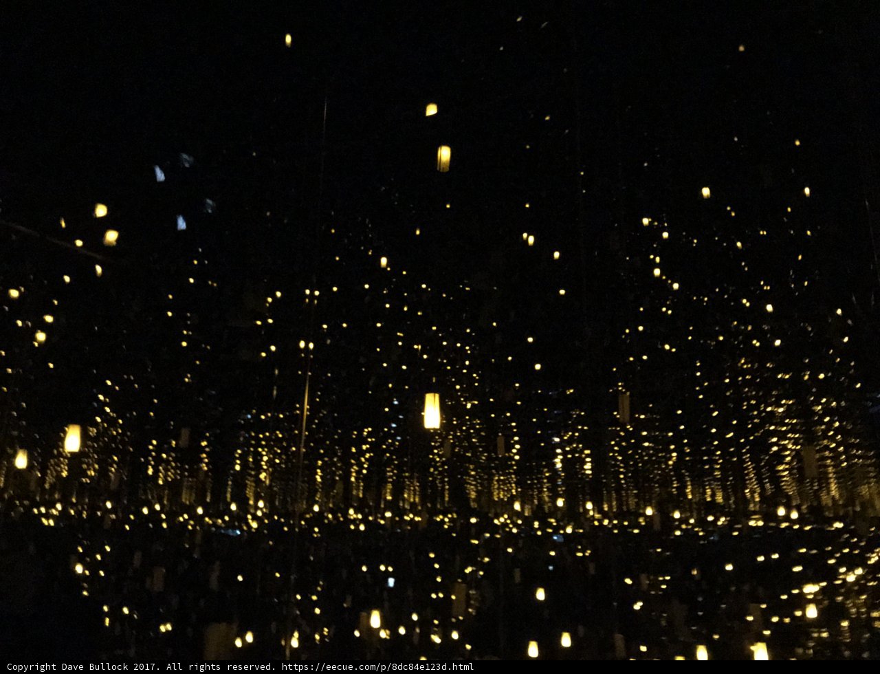Illuminated Urban Forest