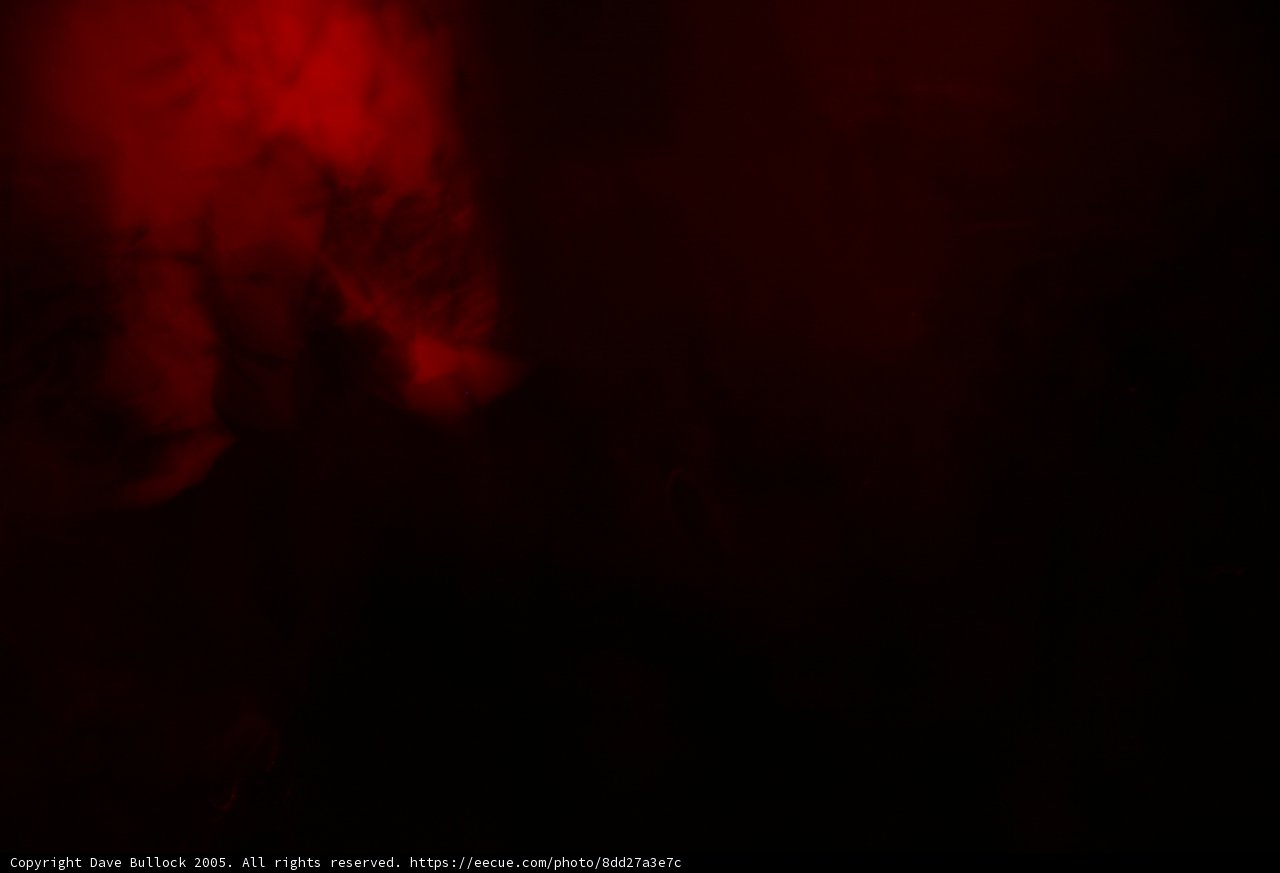 Fiery Velvet Flare
