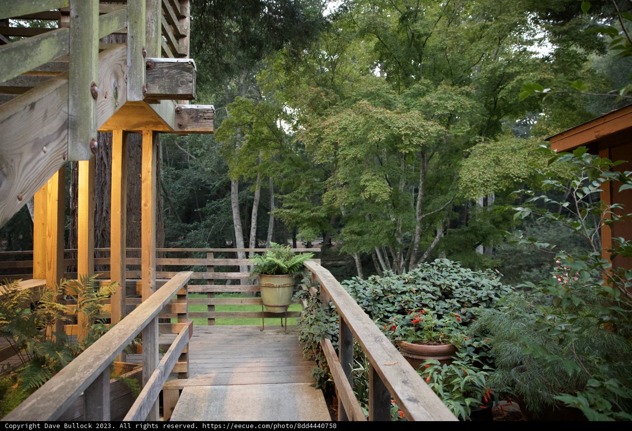 Wooden Walkway Wonder
