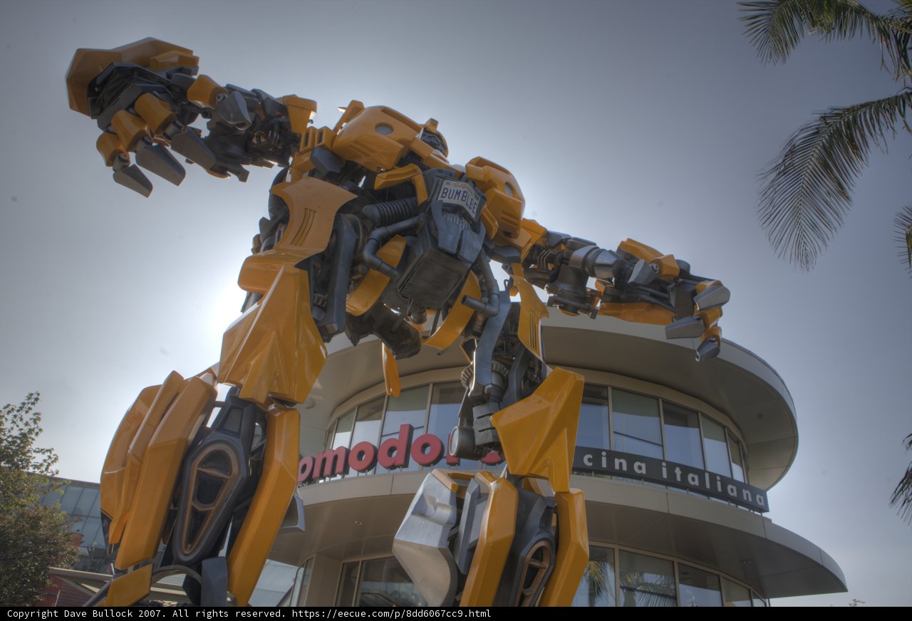 Robotic Guardian