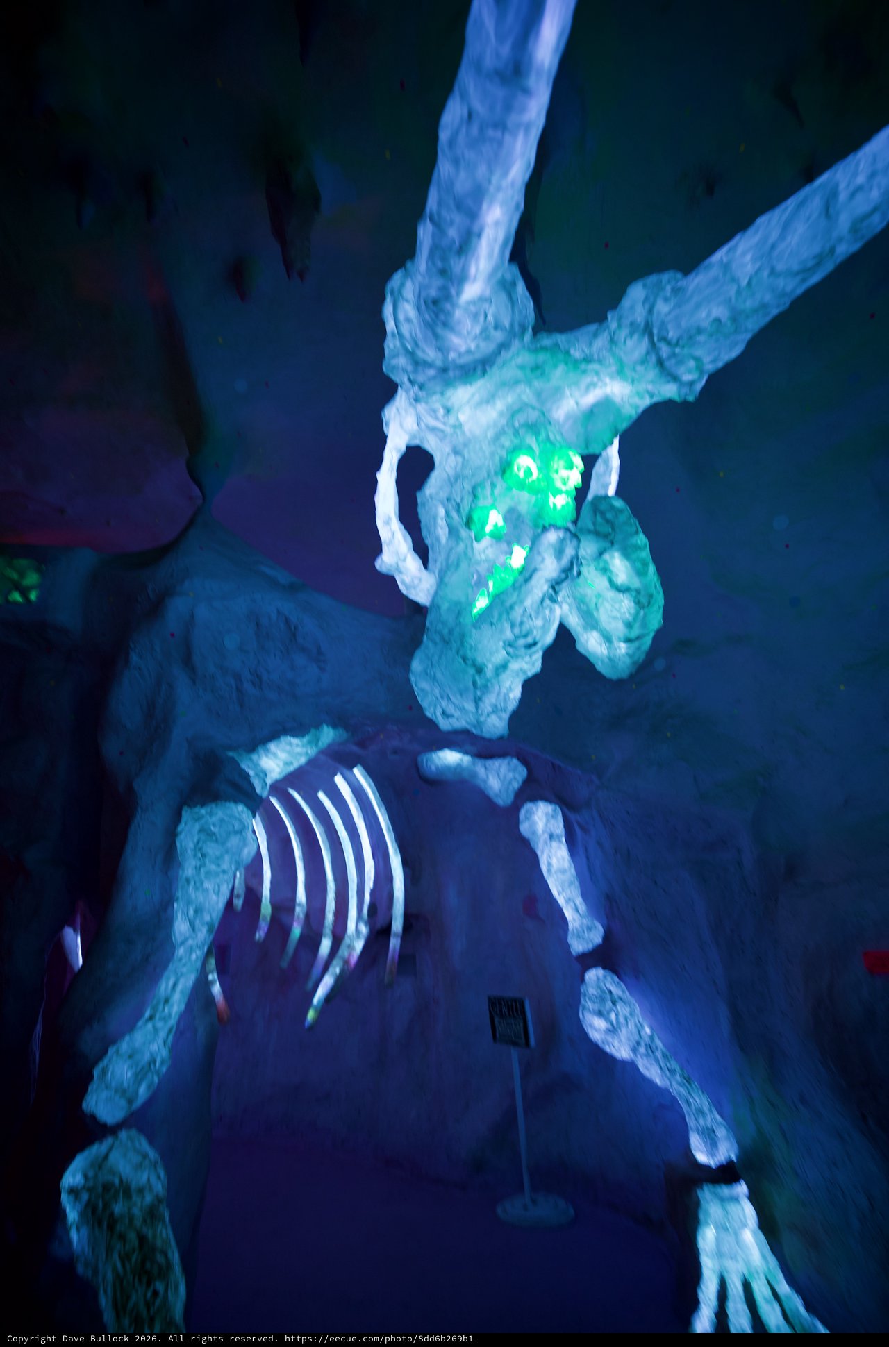 Illuminated Skeleton Display in Museum Exhibition