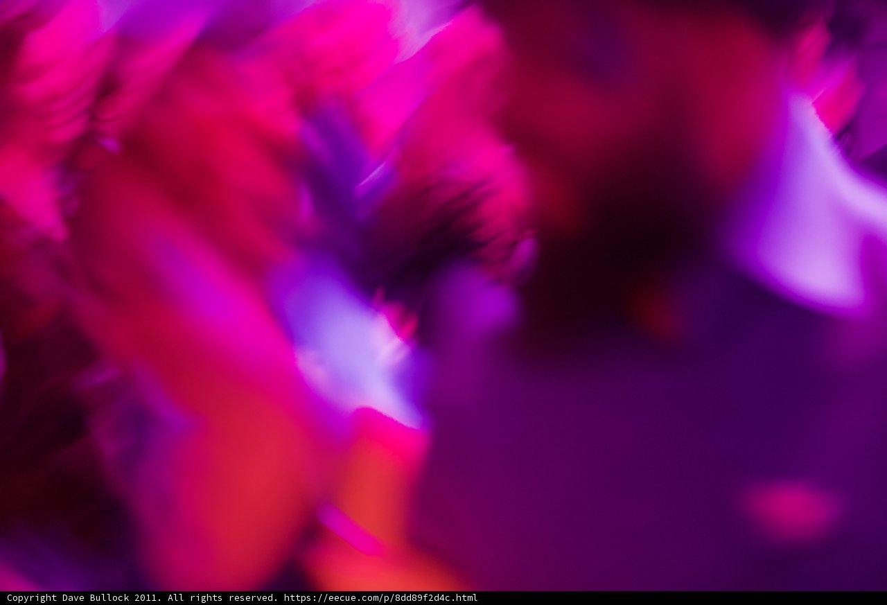 Purple Party