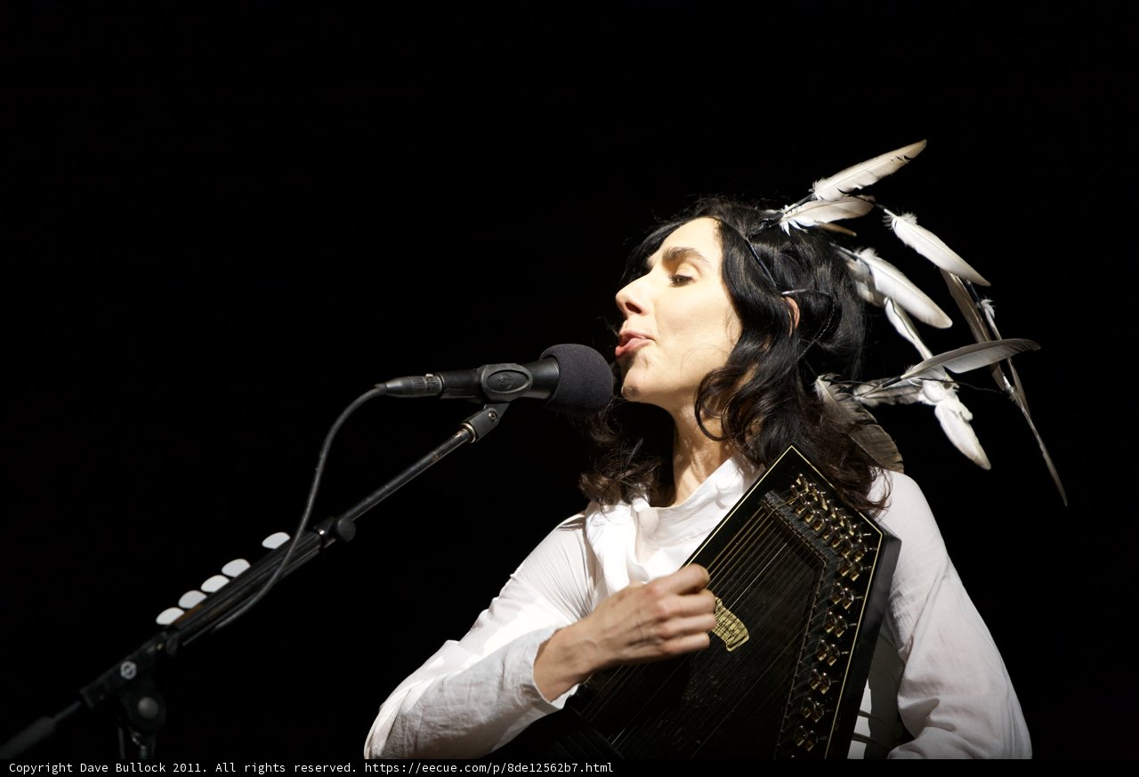 Feathers and Microphones