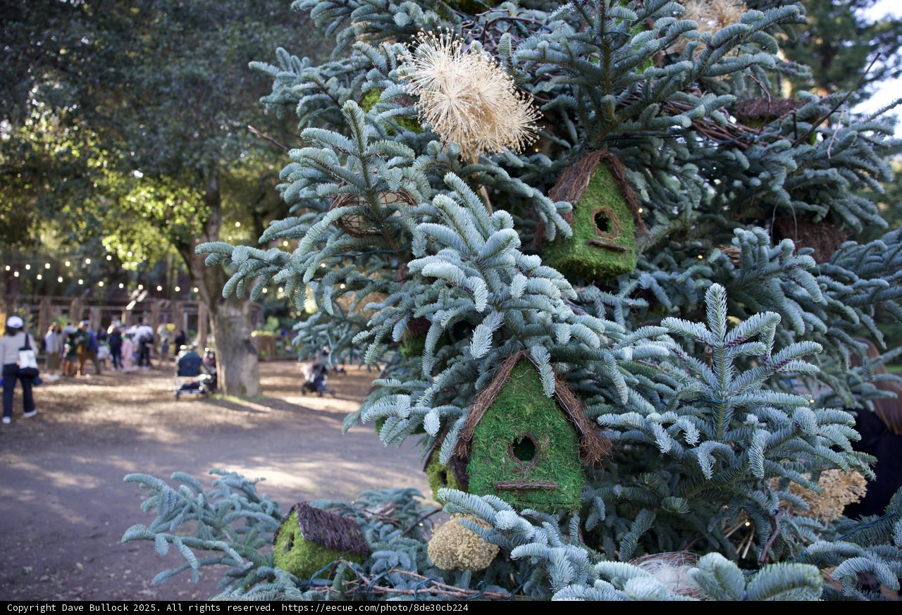 Whimsical Winter Wonderland at Thistlewyck