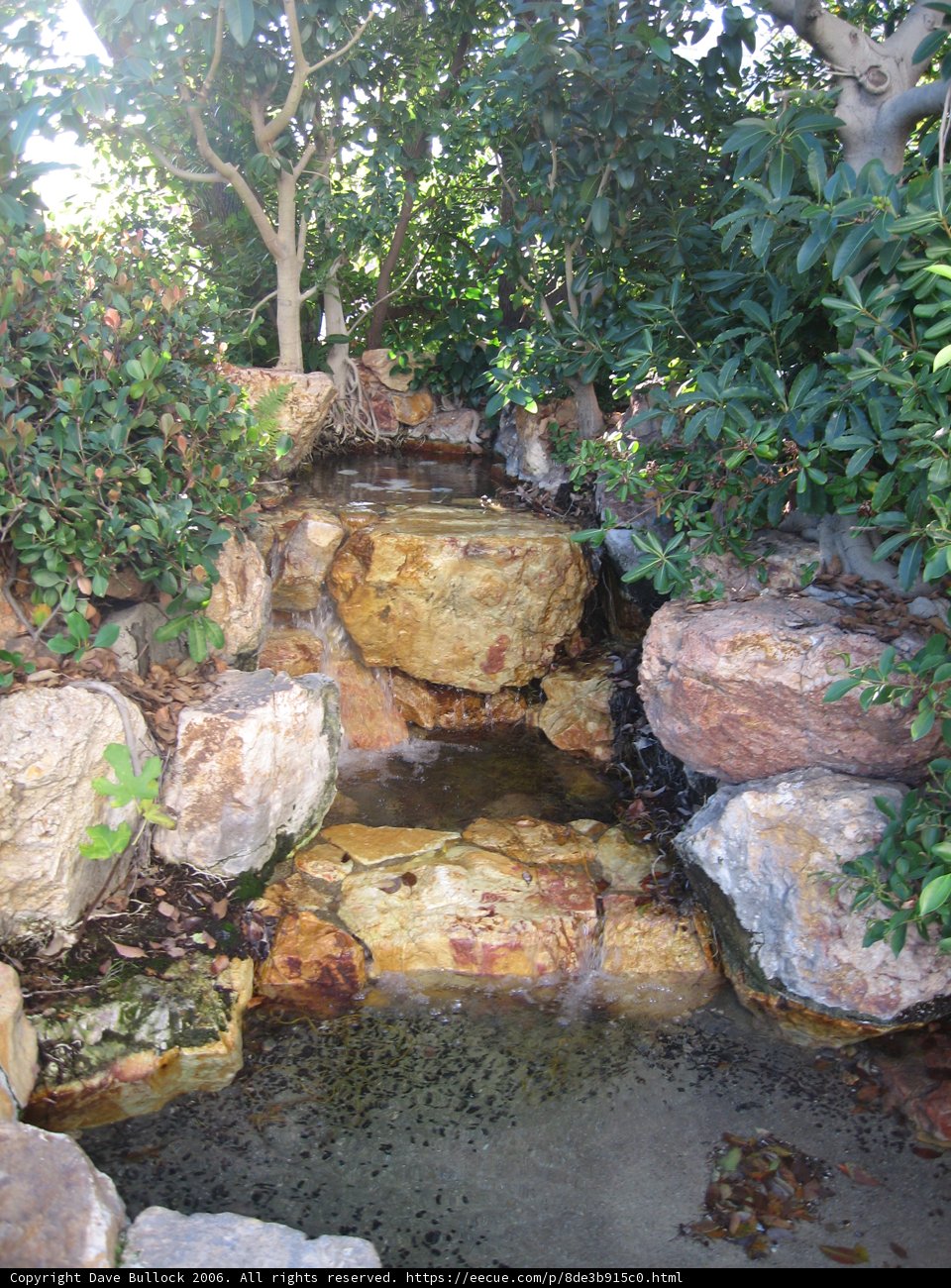 Serene Waterfall in a Lush Garden