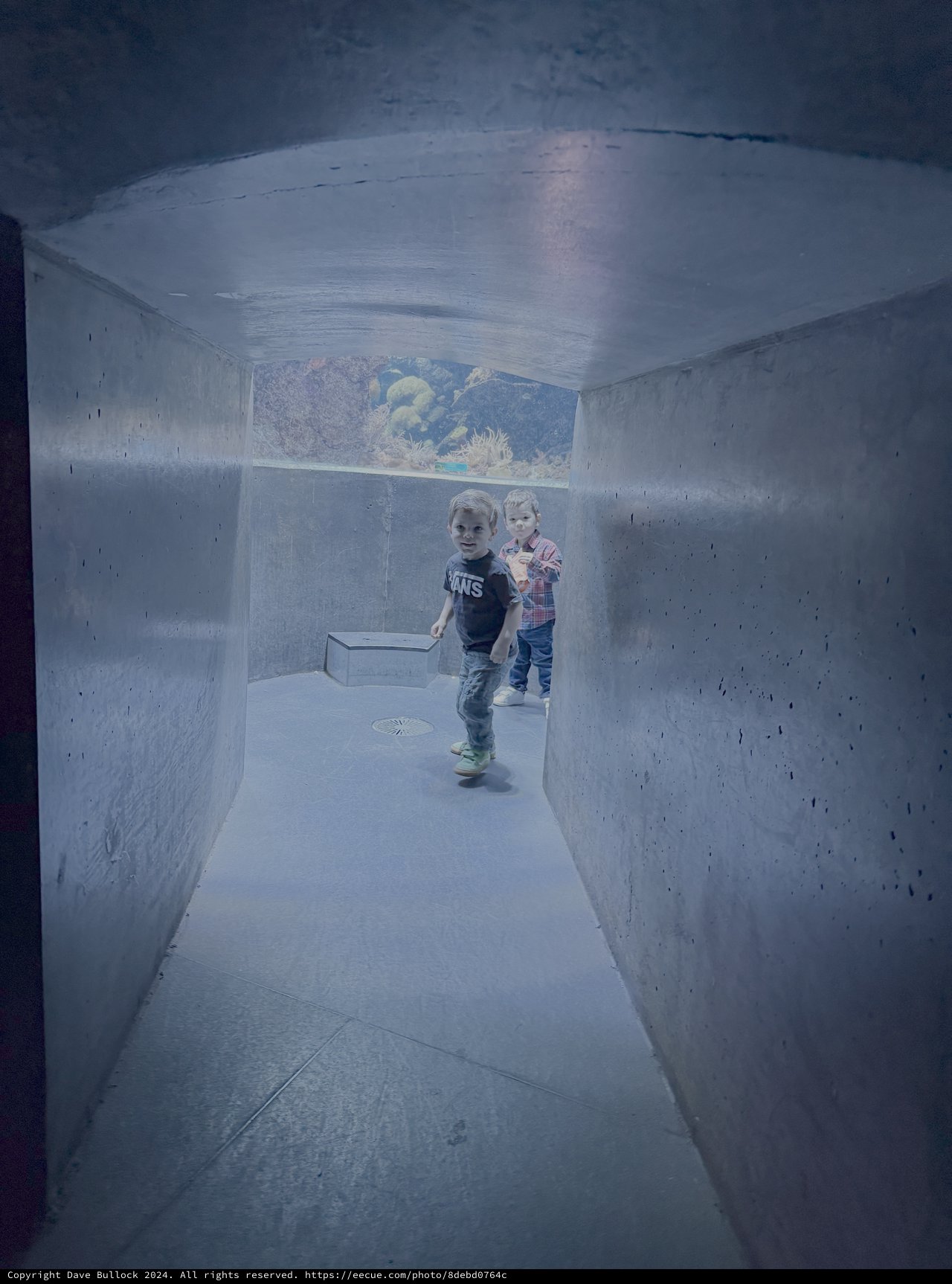 Children Exploring Underwater Aquarium Tunnel