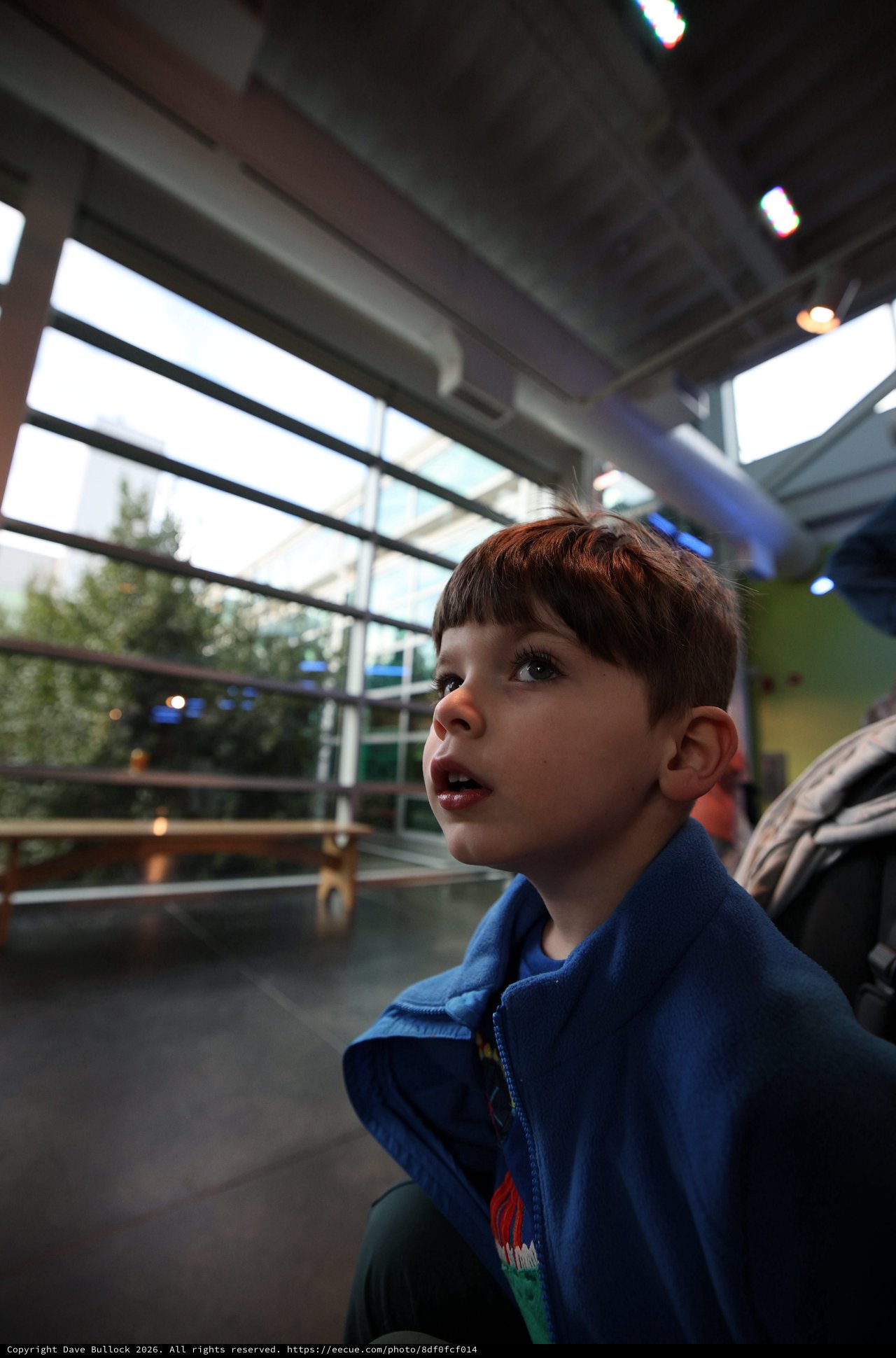 Young Boy Captivated by Wonders at Science Museum