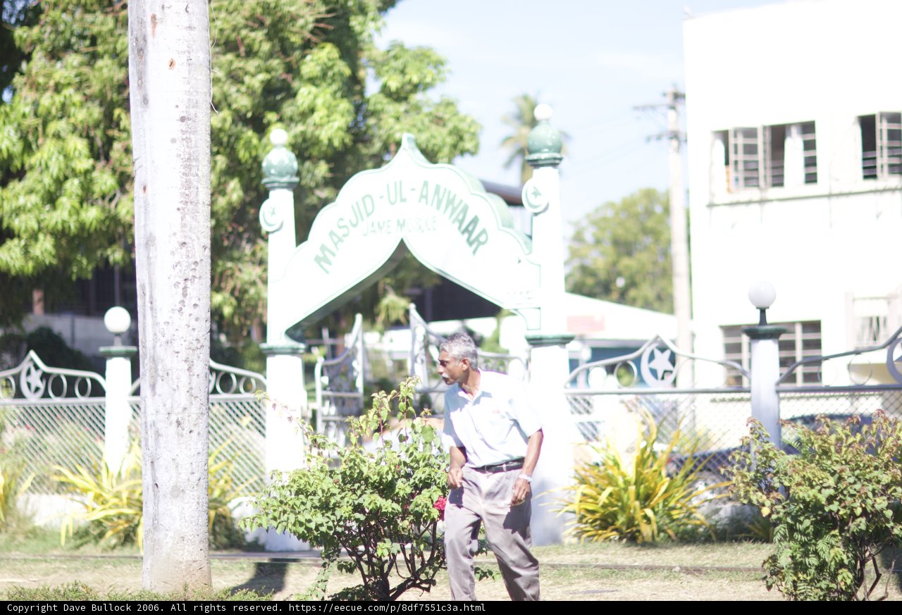 Kite-Flying in the Park