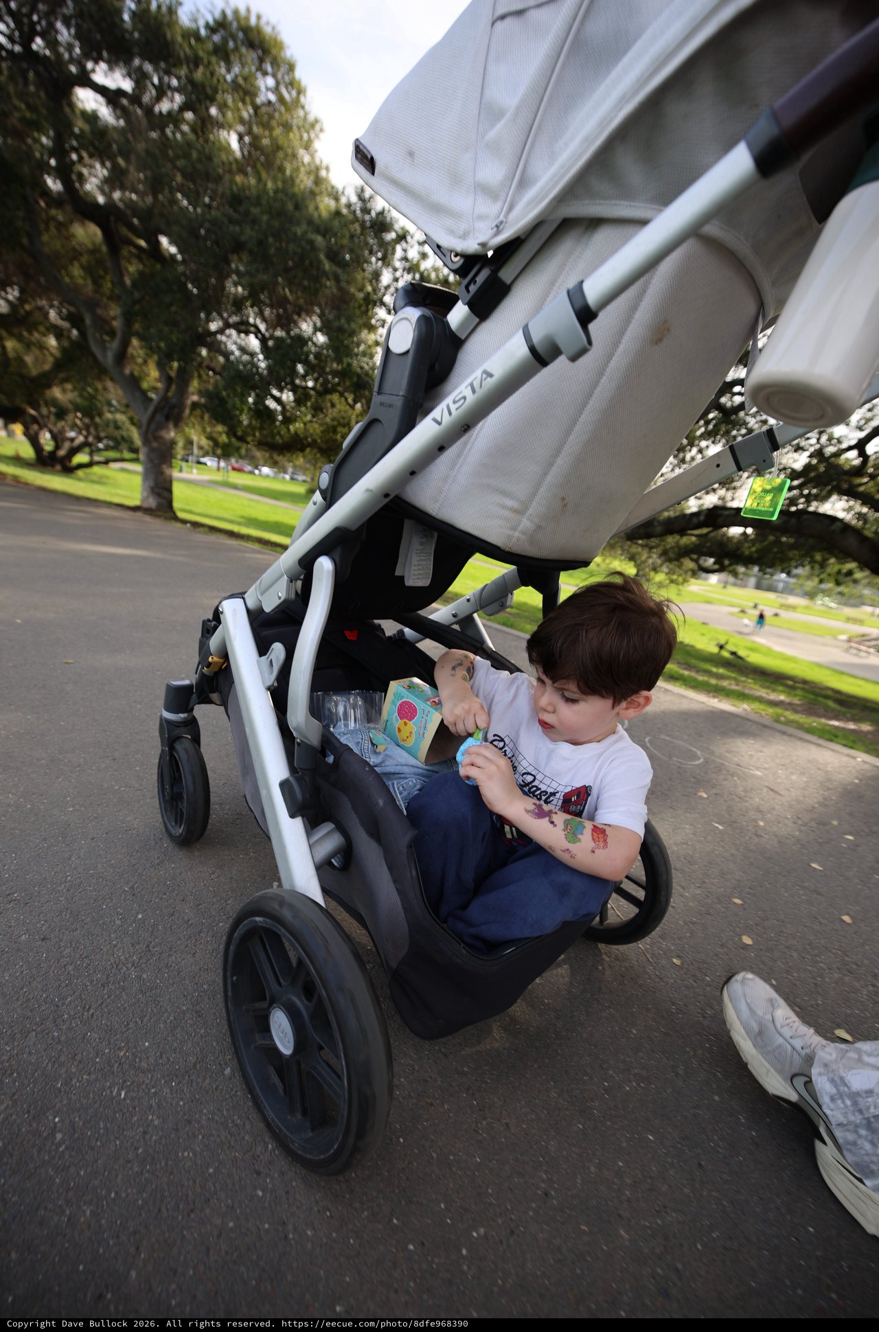 Young Child Enjoying Stroller Ride in Park