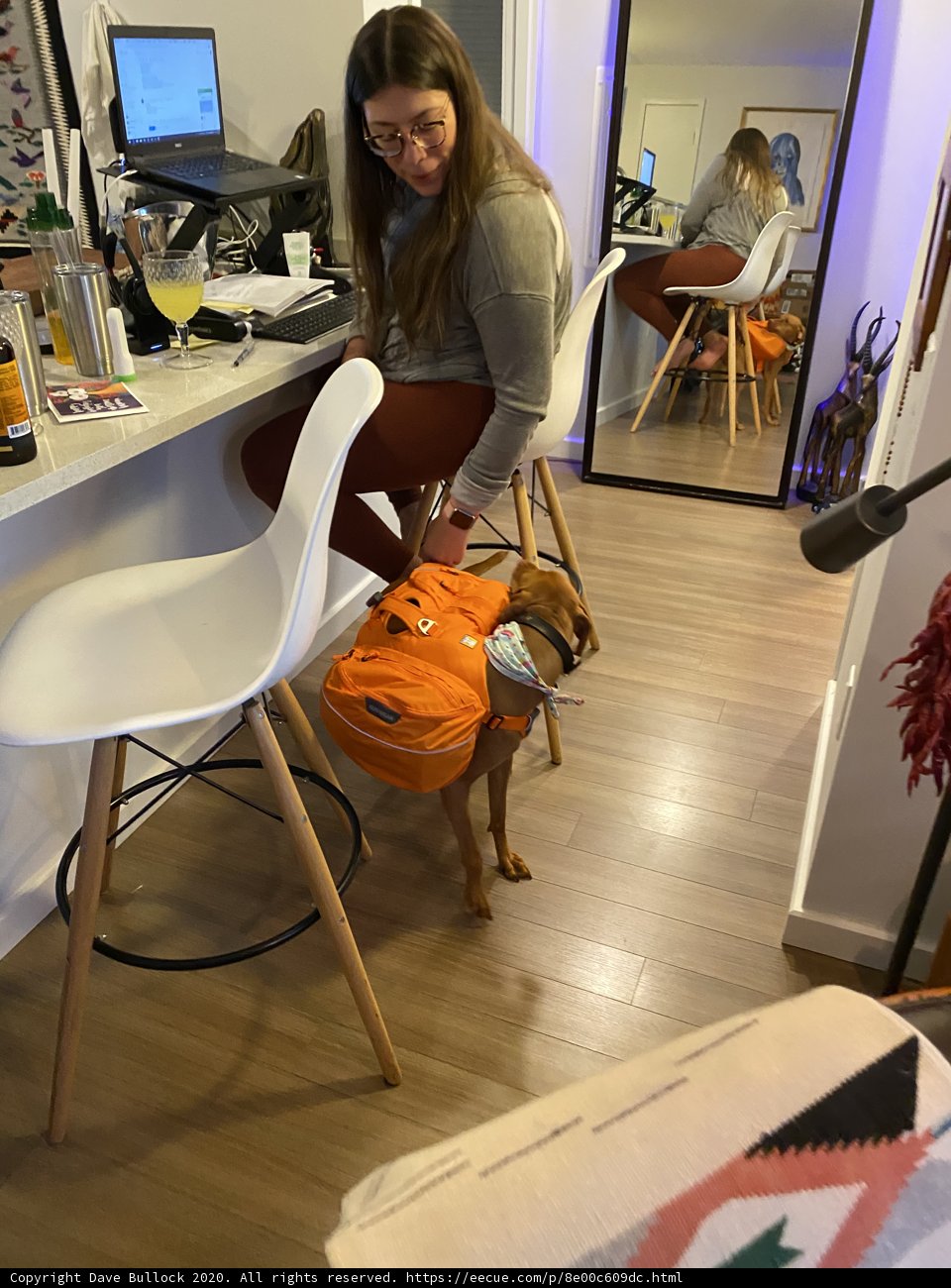 Working from Home with a Furry Assistant