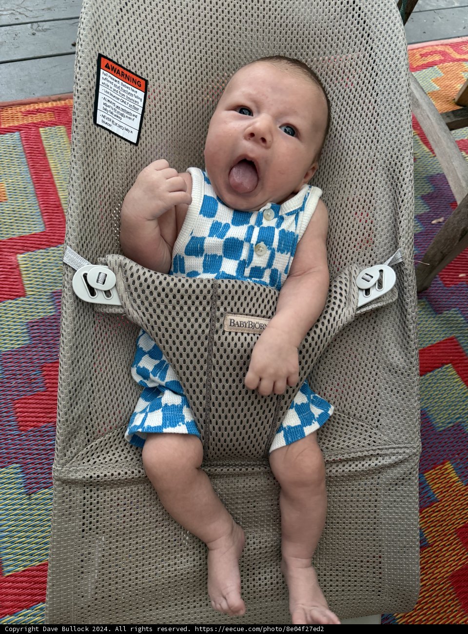 Baby's Day Out